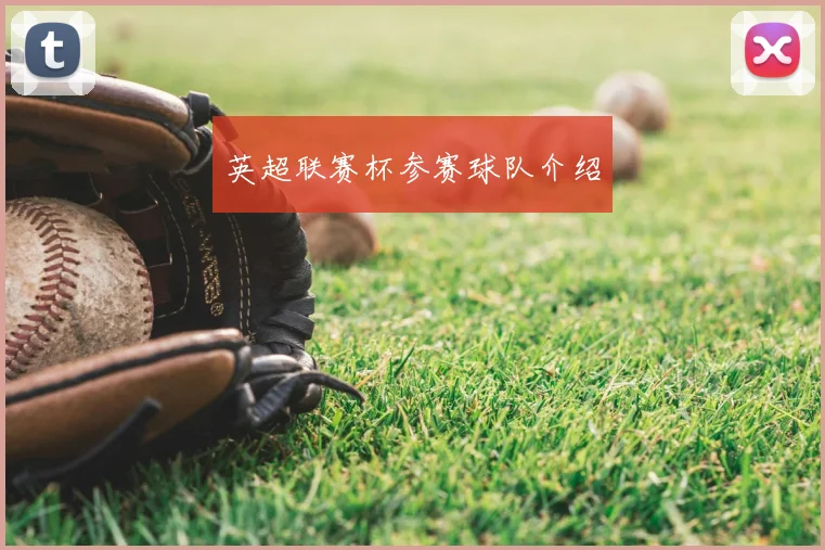 英超联赛杯参赛球队介绍