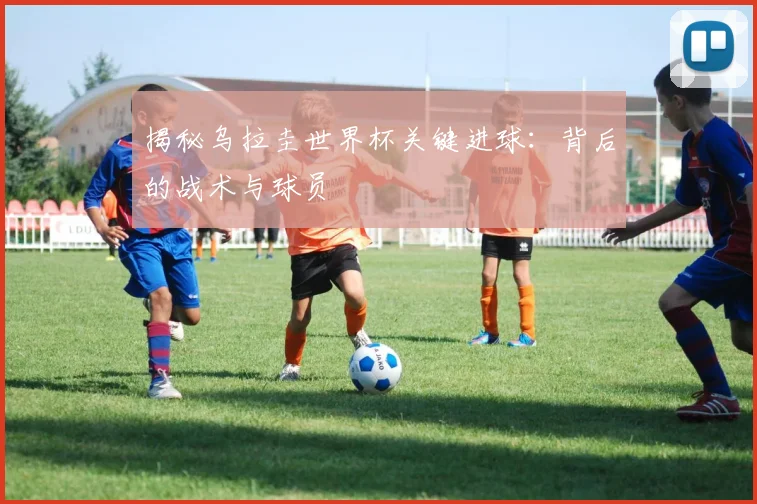 揭秘乌拉圭世界杯关键进球：背后的战术与球员