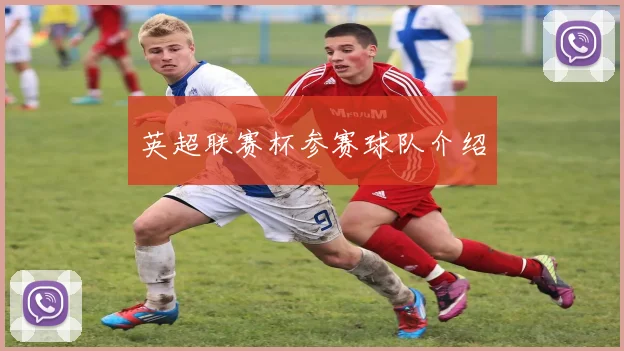 英超联赛杯参赛球队介绍